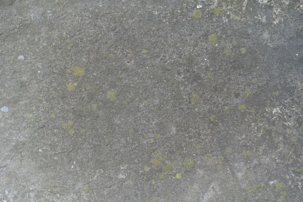 Cost of Slab Staining Service in Bothell